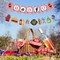 Baby Q Banner for Baby Shower Birthday Party Decorations Summer BBQ Barbecue Gender Reveal Picnic Party Supplies Photo Backdrop